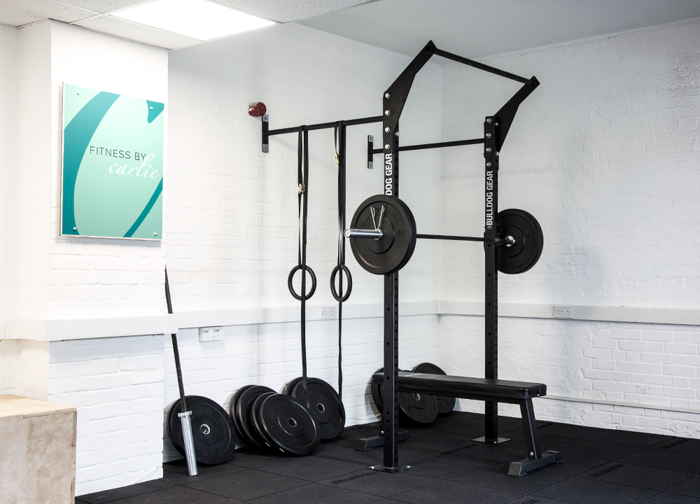 Bulldog Gear wall mounted garage gym rig installed